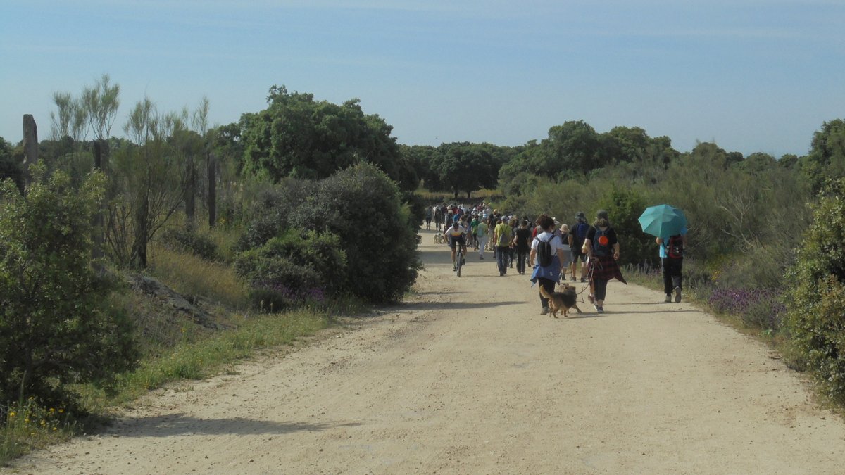 Plataforma Jarama Vivo tweet media