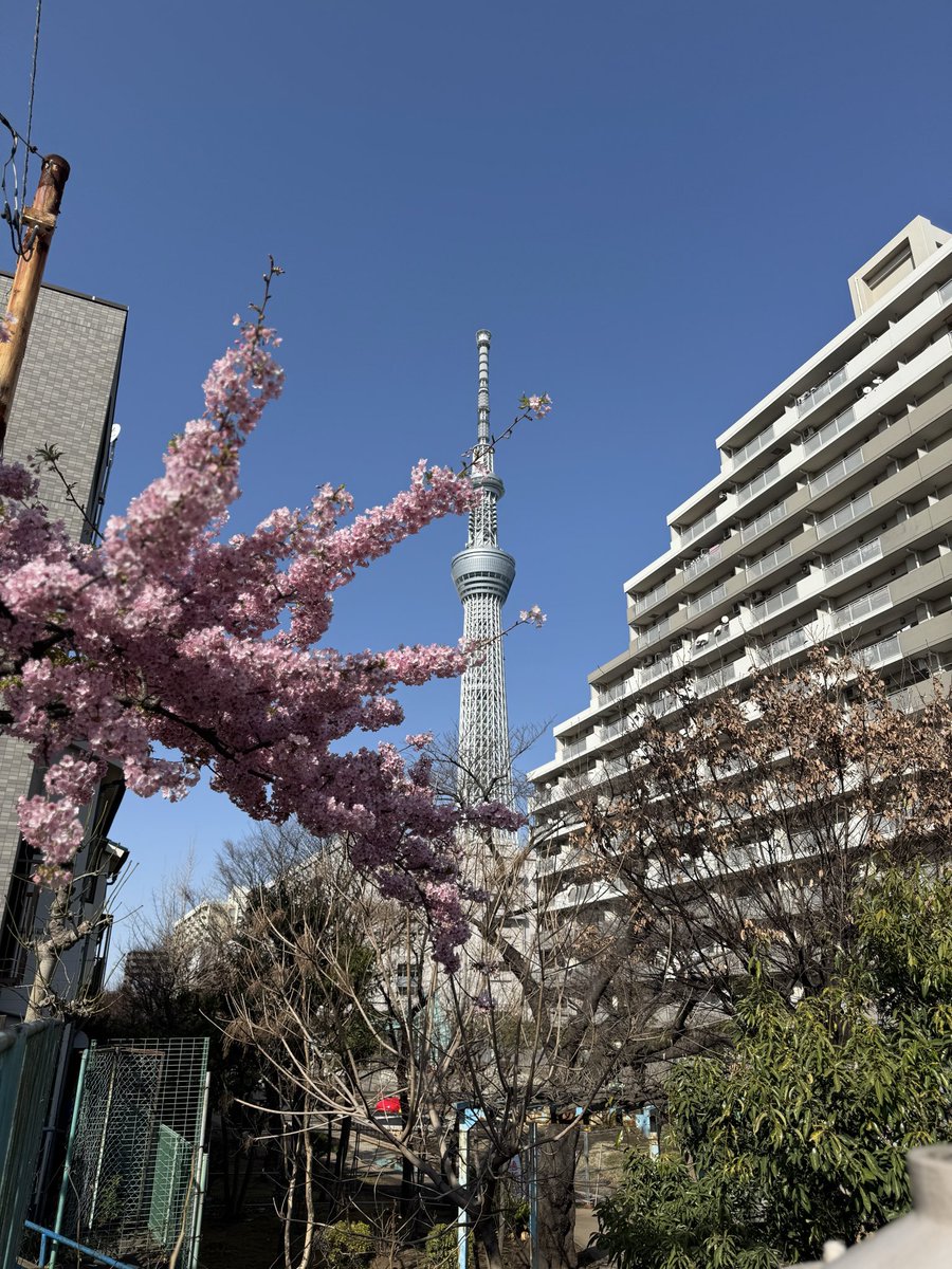 森の星空カフェ。天気のいい日に友人と行ってました！コラボメニュー量がちょうど良くて助かる⭐️