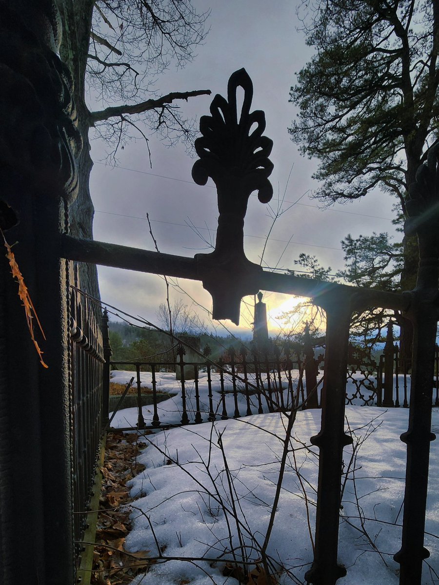 Gothic Barbie tweet media