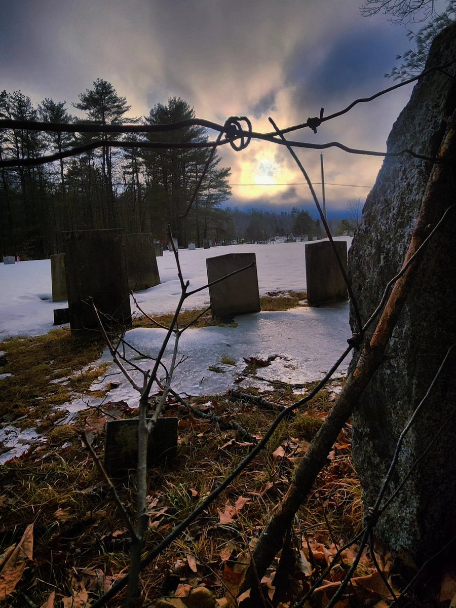 Gothic Barbie tweet media