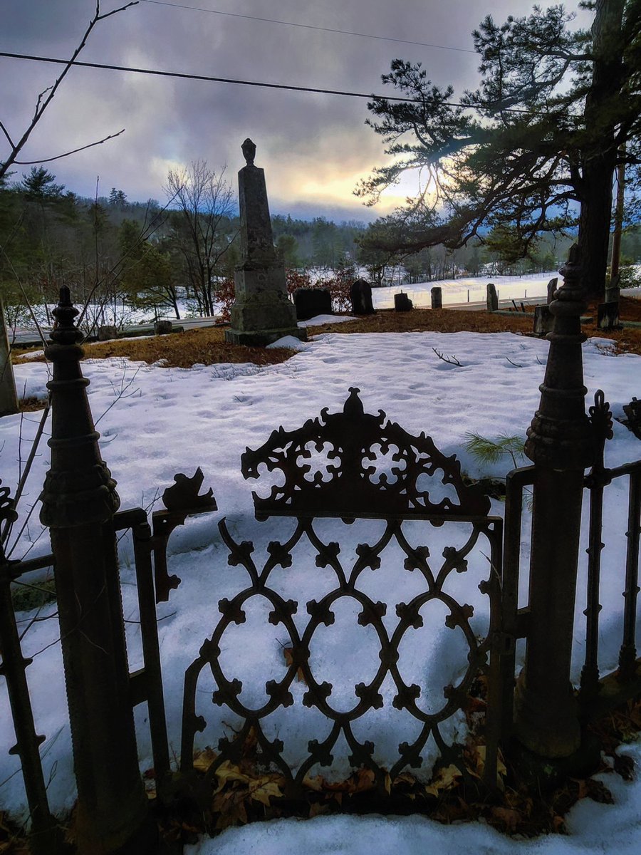 Gothic Barbie tweet media