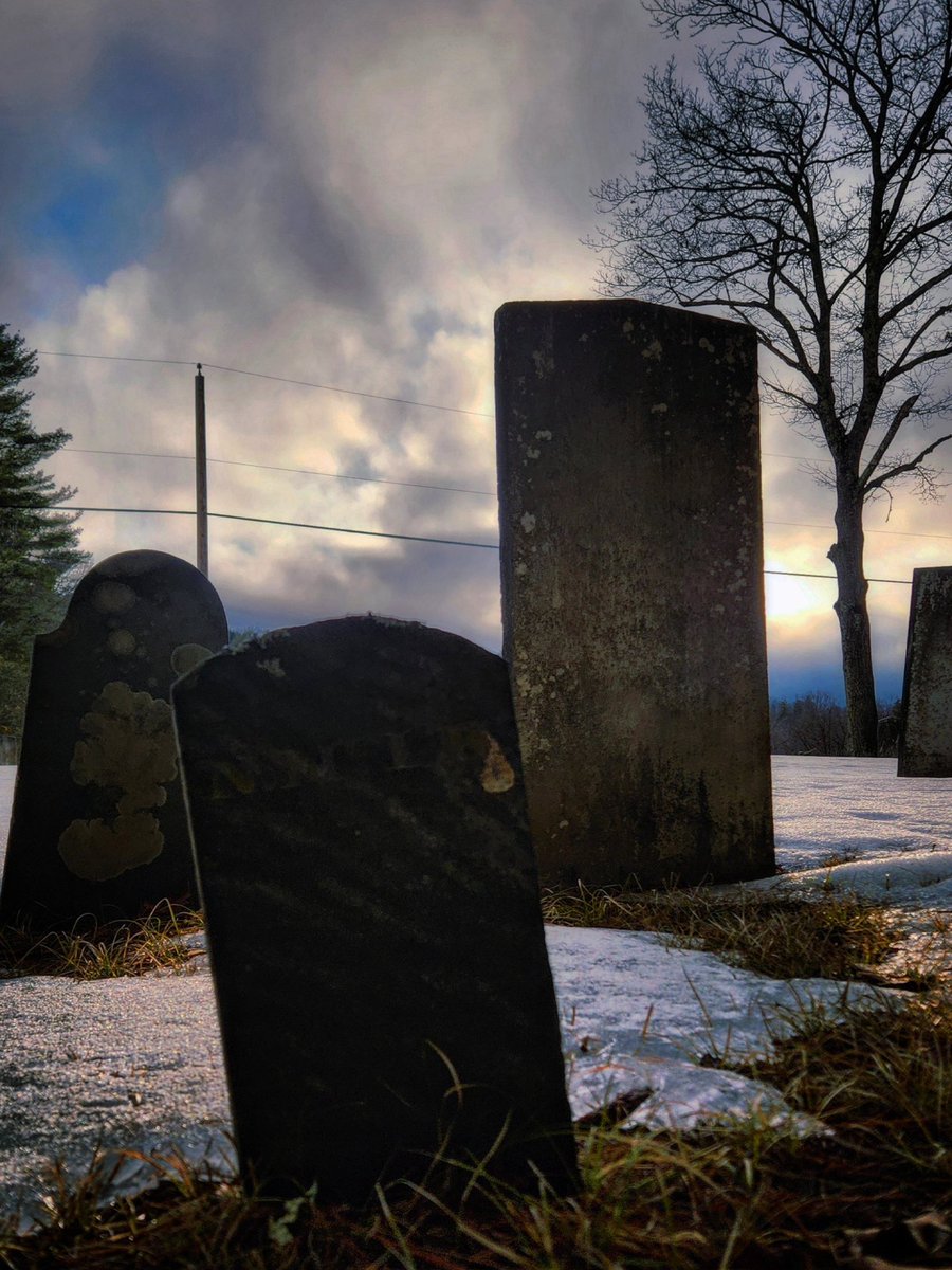 Gothic Barbie tweet media