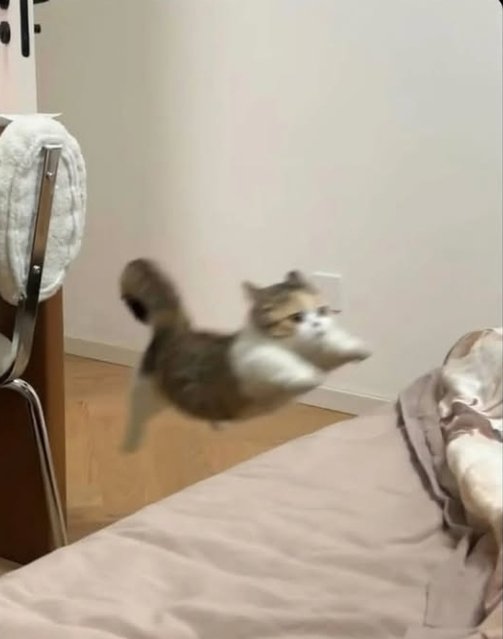 dışarıdan eve gelince ben