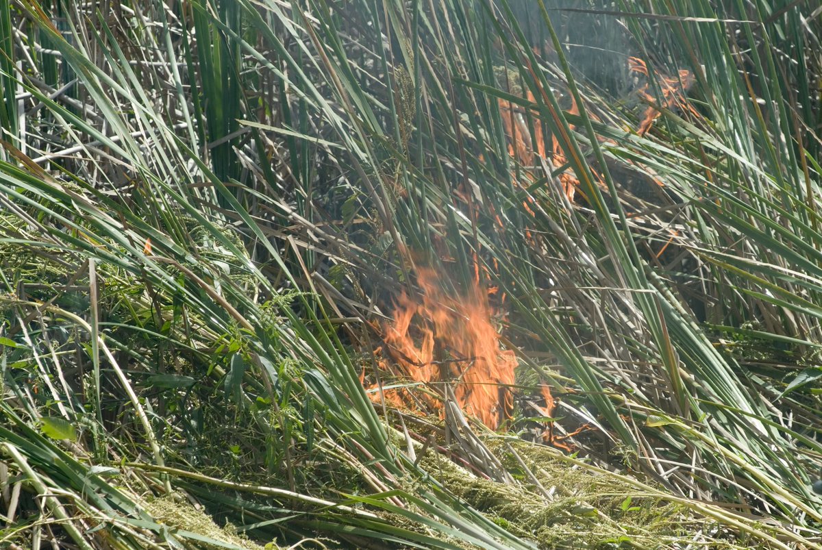 South Florida Water Management District tweet media