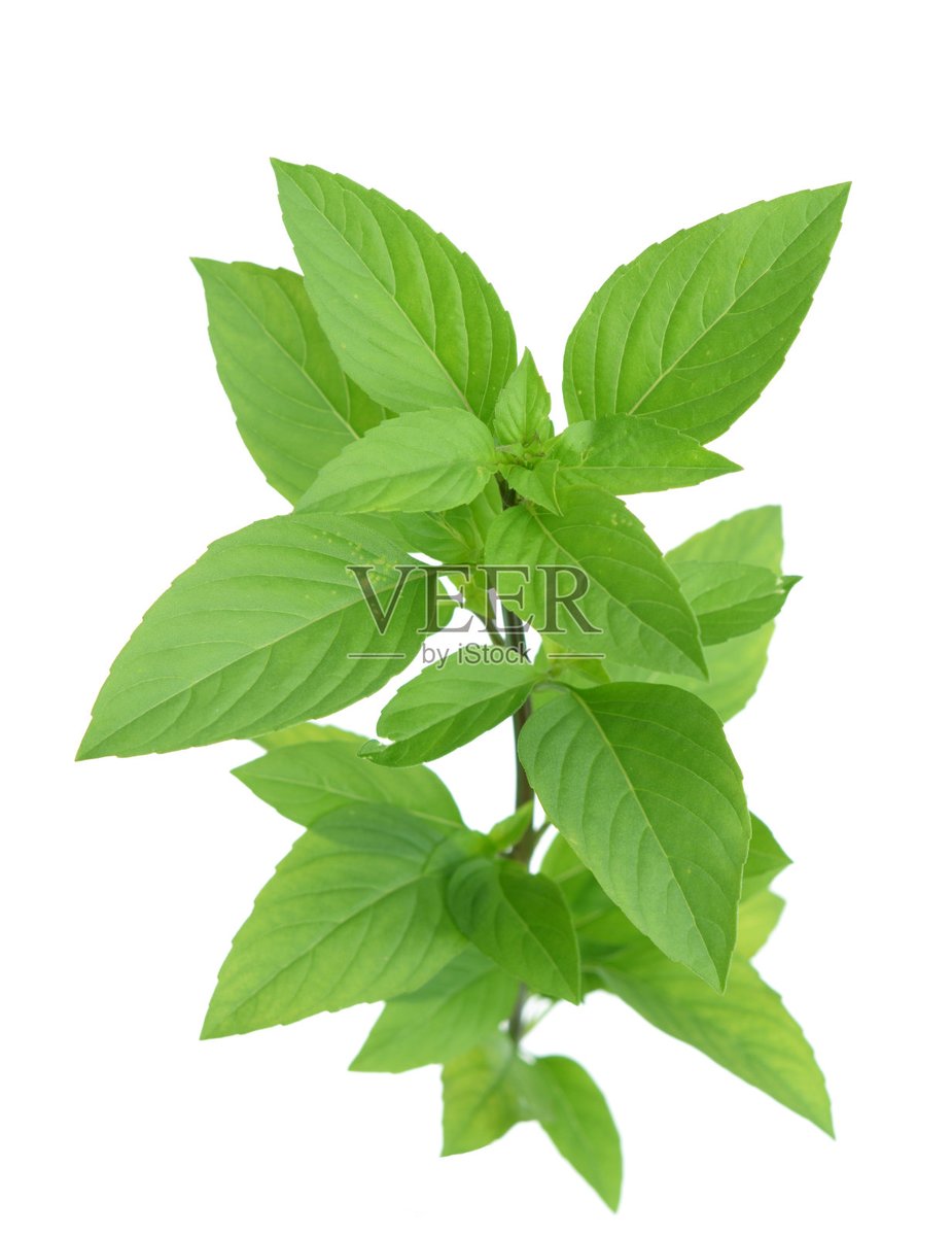 SinipreAlrets tweet media