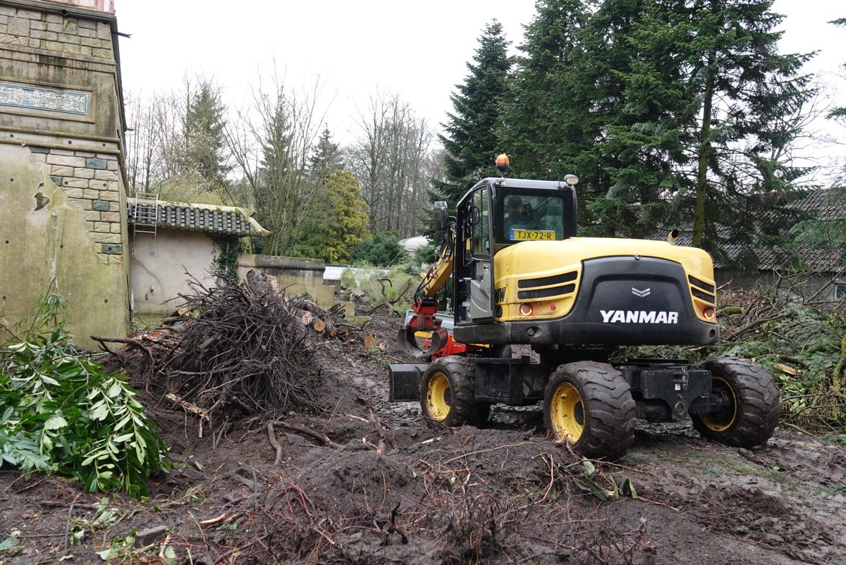 De voorbereidingen voor de sloop van de Chinese Nachtegaal zijn nu echt begonnen. Zoals je kunt zien zijn ze druk bezig met het verwijderen van de natuur rondom de locatie. #Efteling #Themepark