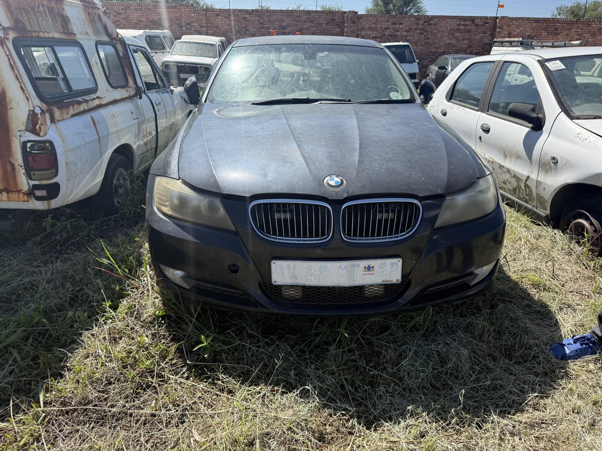 Dr Nasiphi Moya tweet media