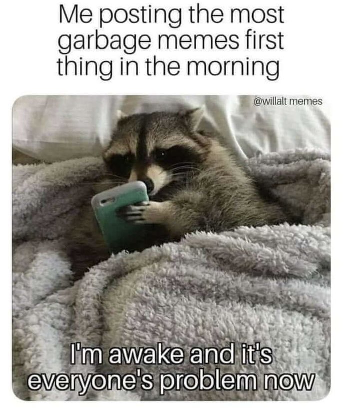 Good Wednesday morning! ☀️