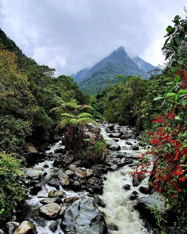 OrgullosamenteCaleño® tweet media