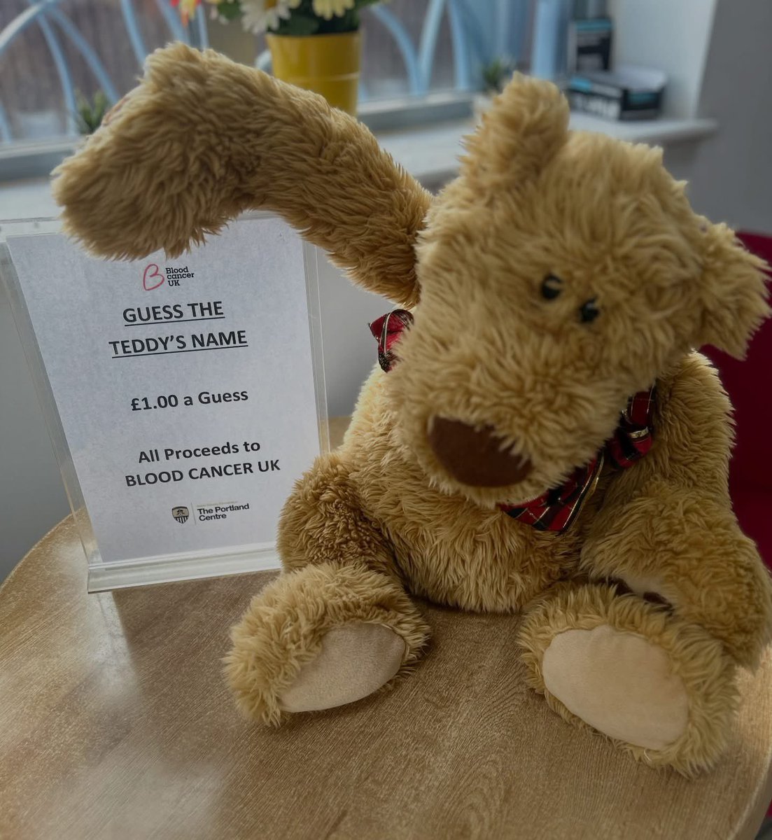 The Portland Centre tweet media