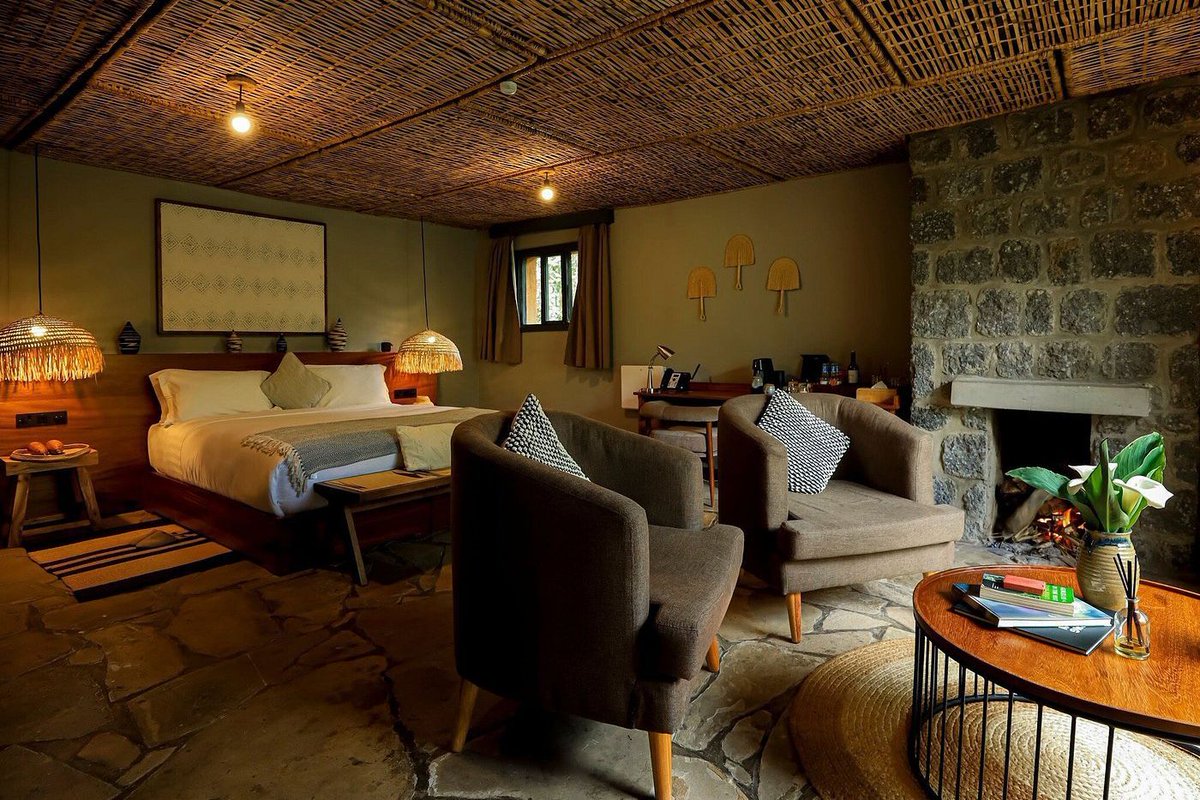 Mist Rwanda Safaris tweet media