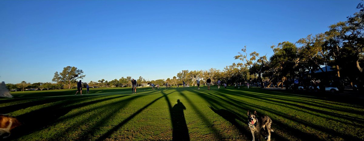 john reilly tweet media