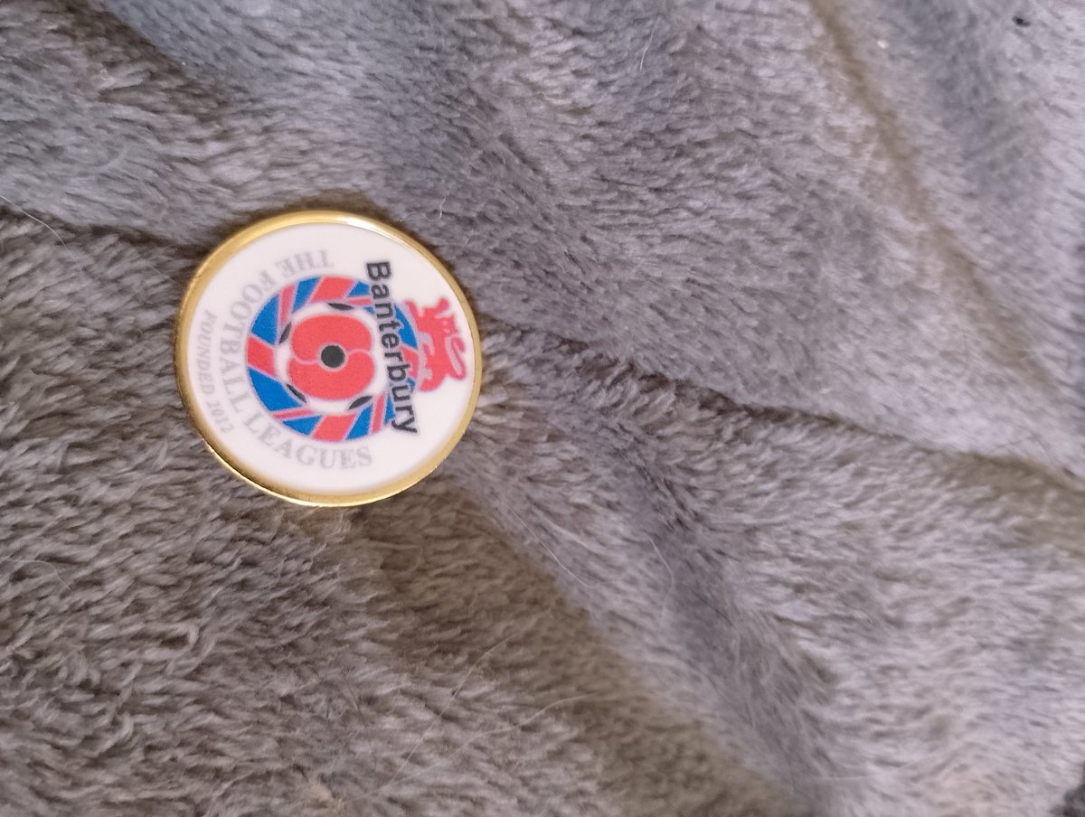 banterburyH2H's tweet photo. Took receipt of these nice little pin badges for the winners of our competitions this season 🥇@Fplcommunity https://t.co/WwXcnzZdby