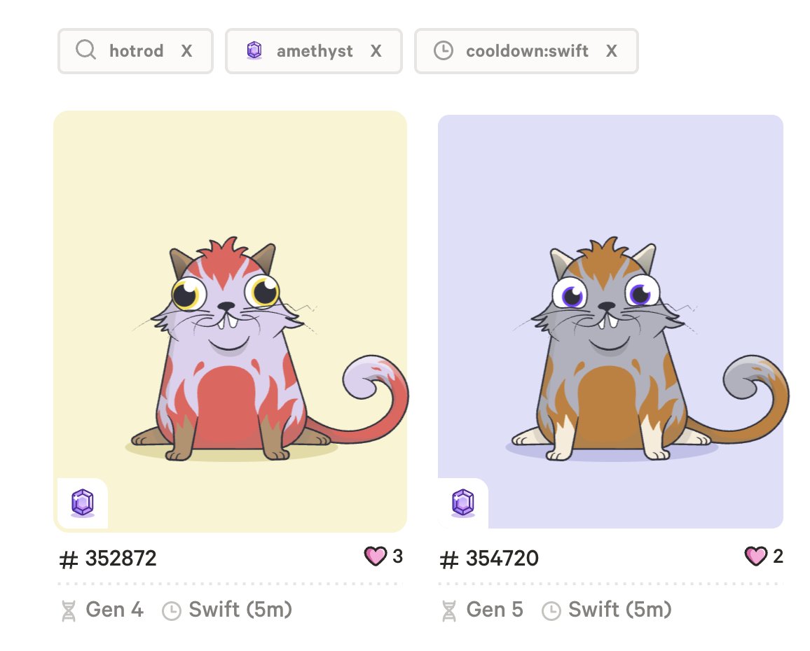 Kitty.International tweet media