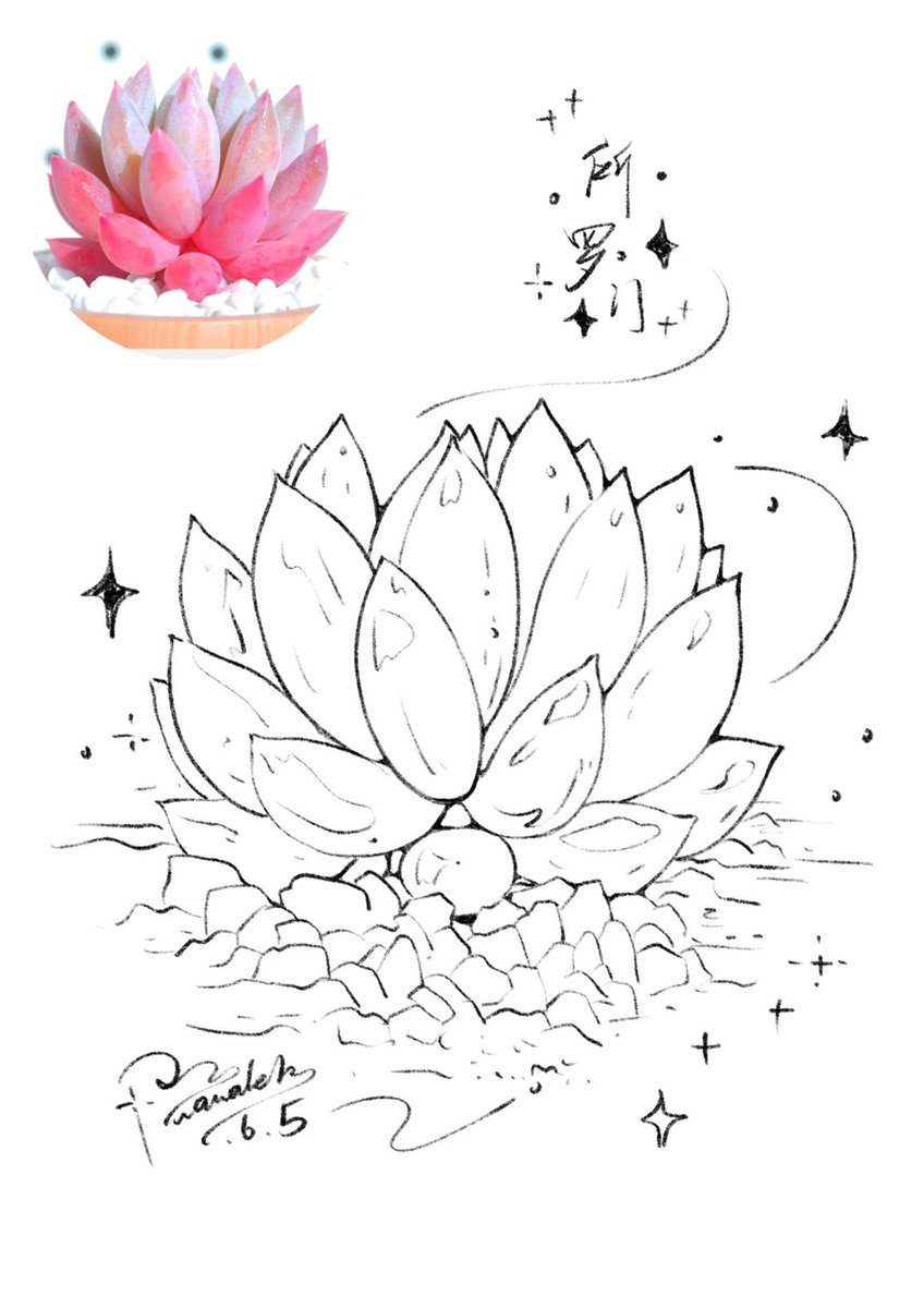 alicia lopez maestre tweet media