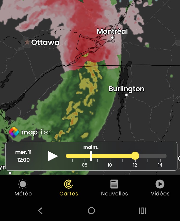 Fireflies tweet media