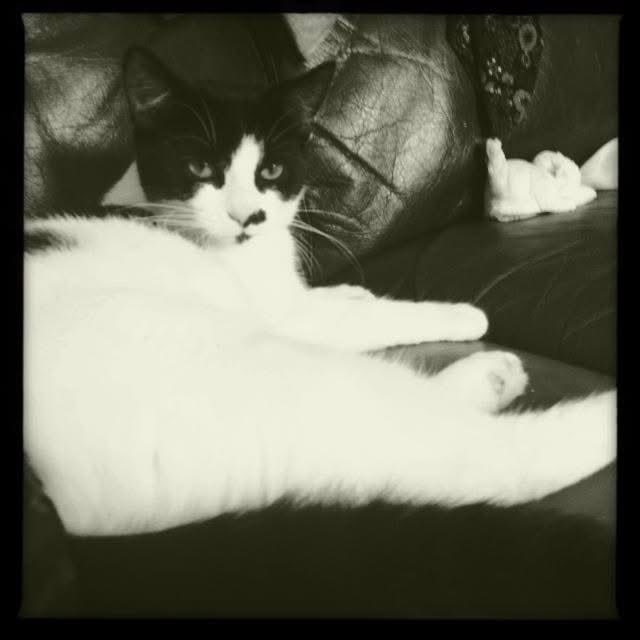 MummyisTired tweet media