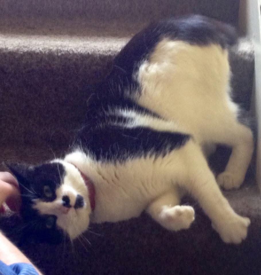 MummyisTired tweet media