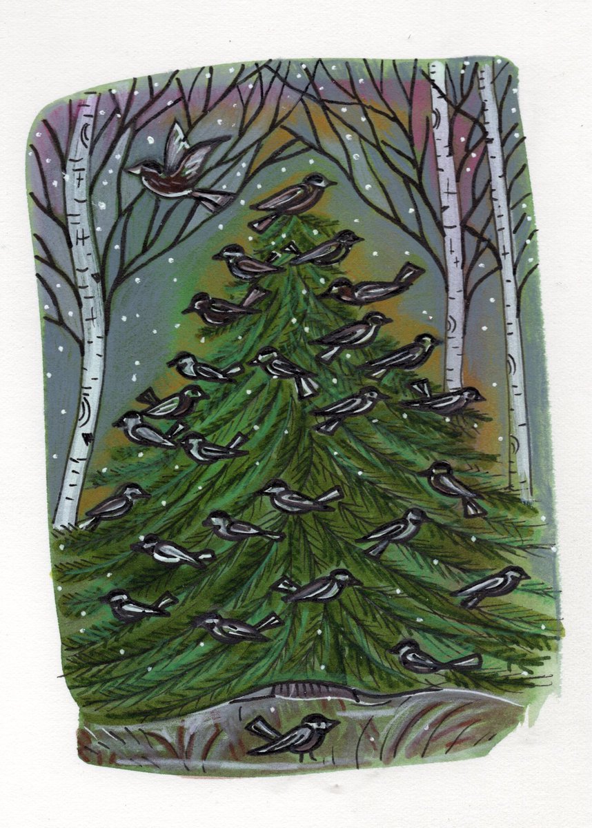 nancy carlson tweet media