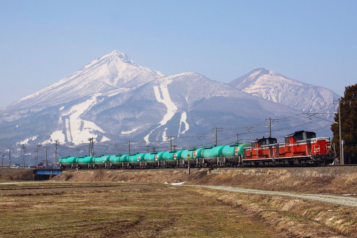 しんつるみゆき tweet media