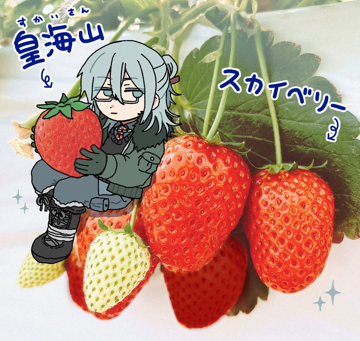 かすてら🗻 tweet media
