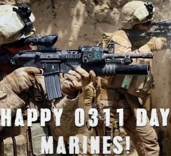 TonytheTiger57 tweet media