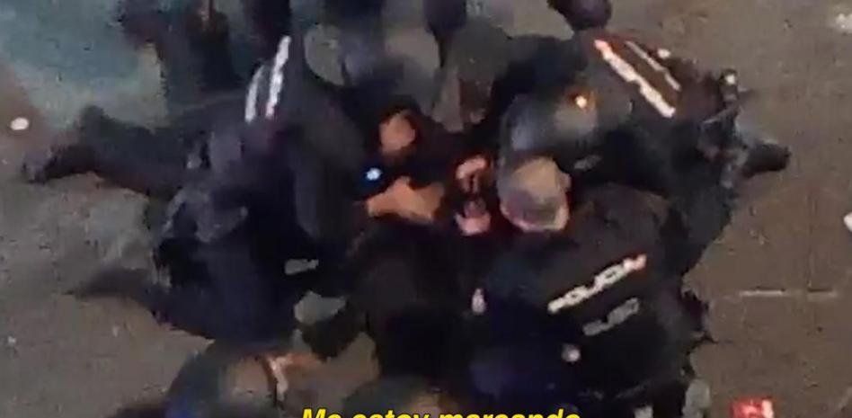 AMNH2002 tweet media