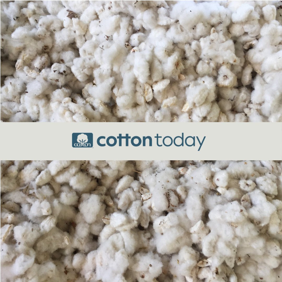 Cotton Incorporated tweet media