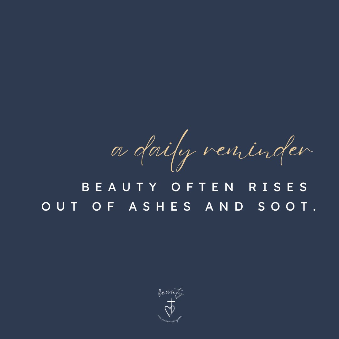 cormany_sara's tweet image. A daily reminder: beauty often rises from ashes and soot. @cormany_sara #evenwhen #beautyfromashes #hope