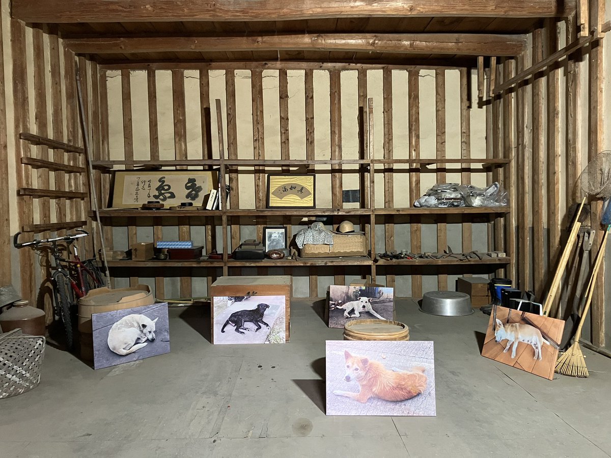 Hasu no hana tweet media