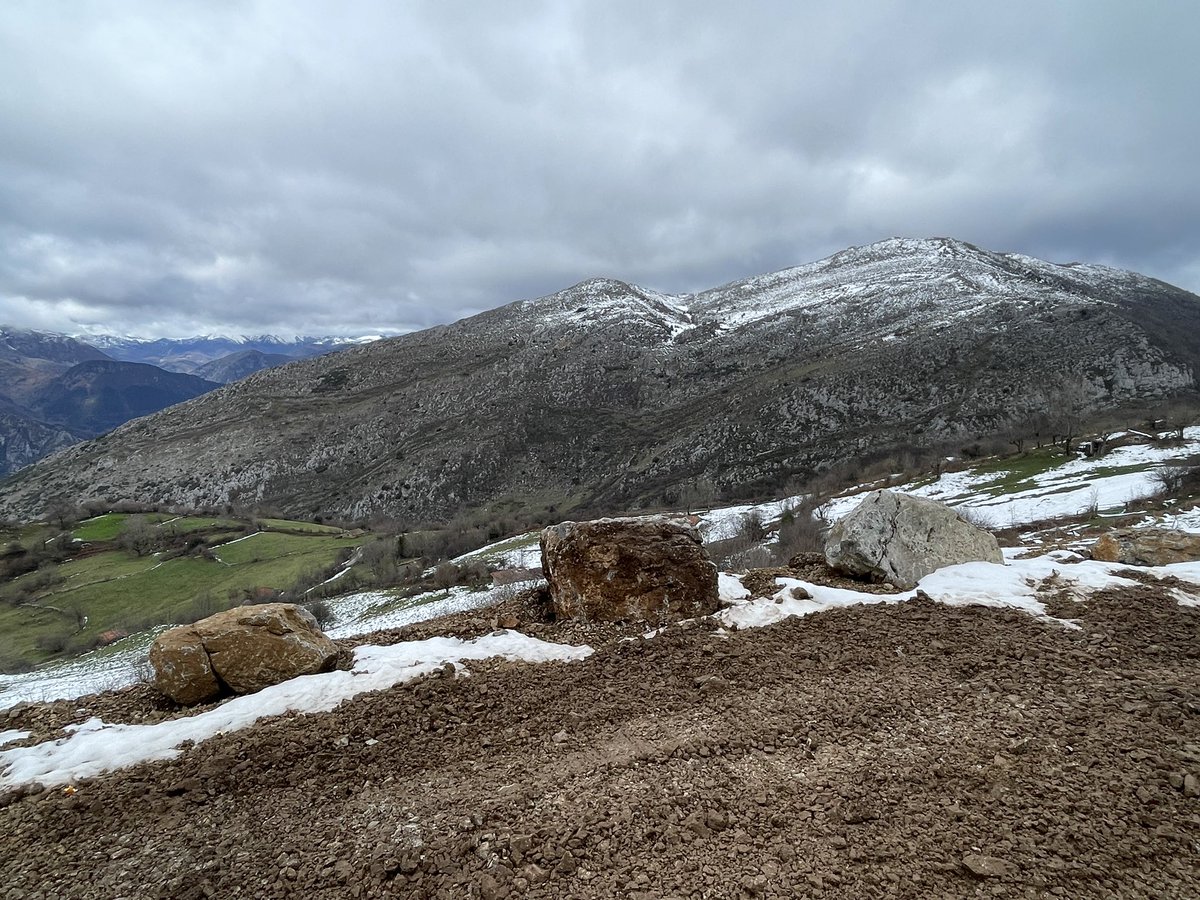 Consejería Medio Rural y Política Agraria tweet media