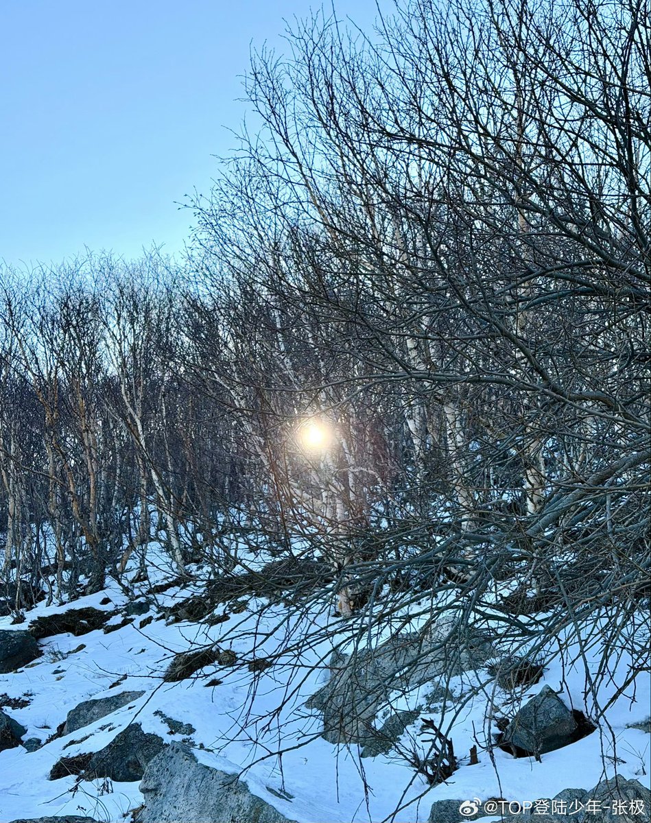 j_Ixfvxlt's tweet image. 我又粗来了！（毛毛虫版）

#TOP登陆少年 #TransfOrmProject
#张极 #จางจี๋ #ZhangJi