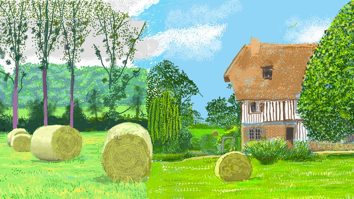 Patti Harris tweet media