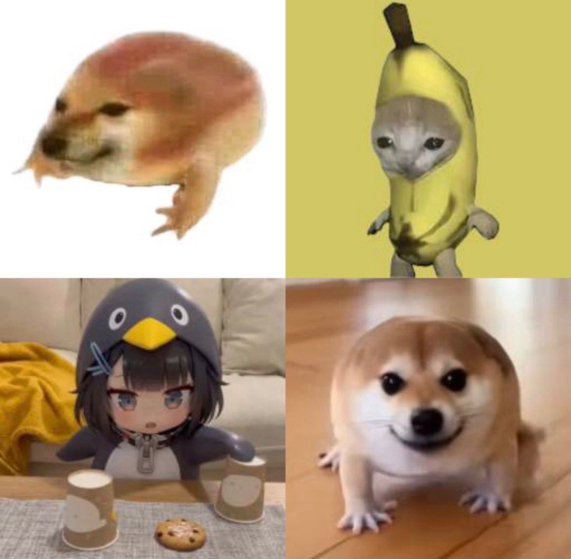 degenmayorlee tweet media