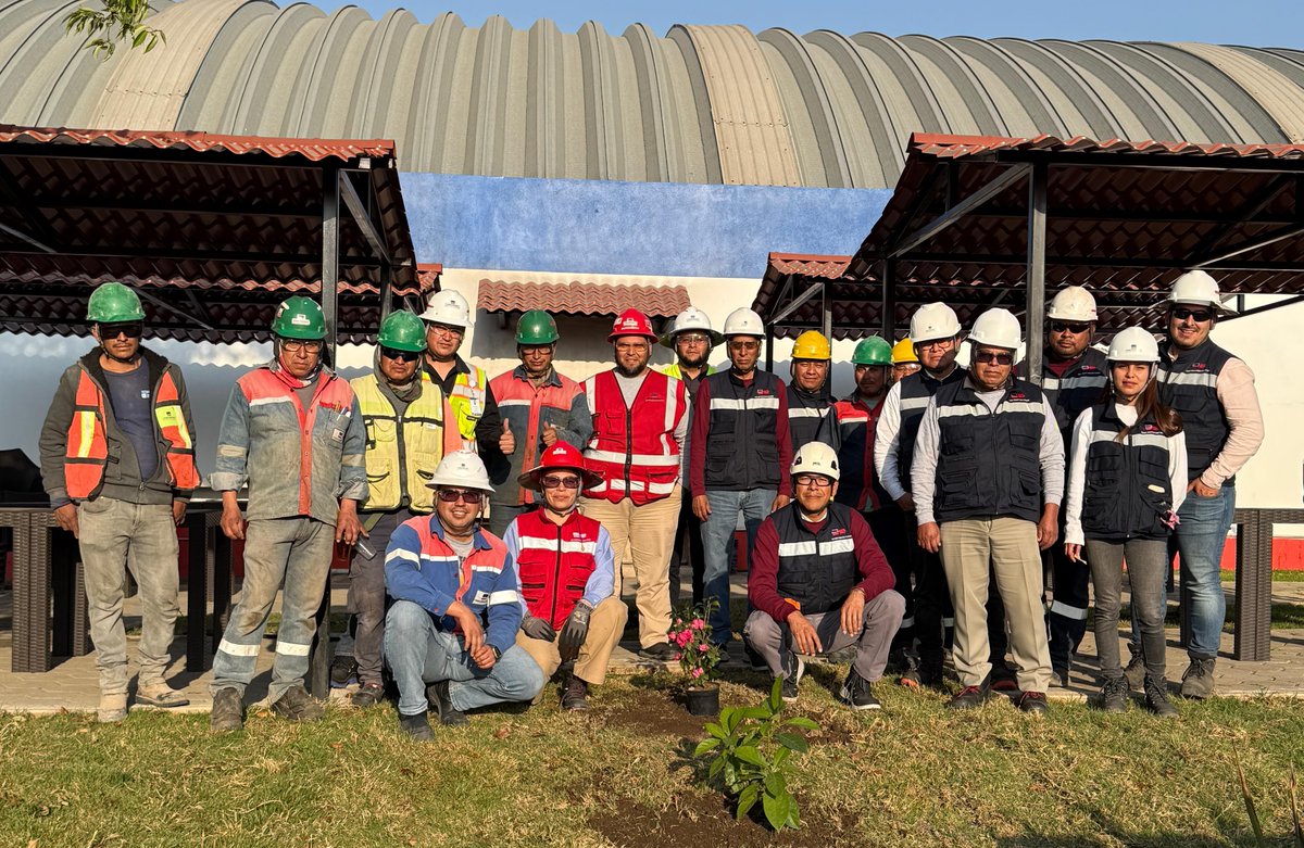 Freyssinet de México tweet media