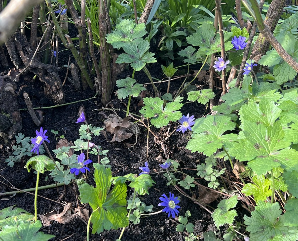 LindaTG1810 tweet media