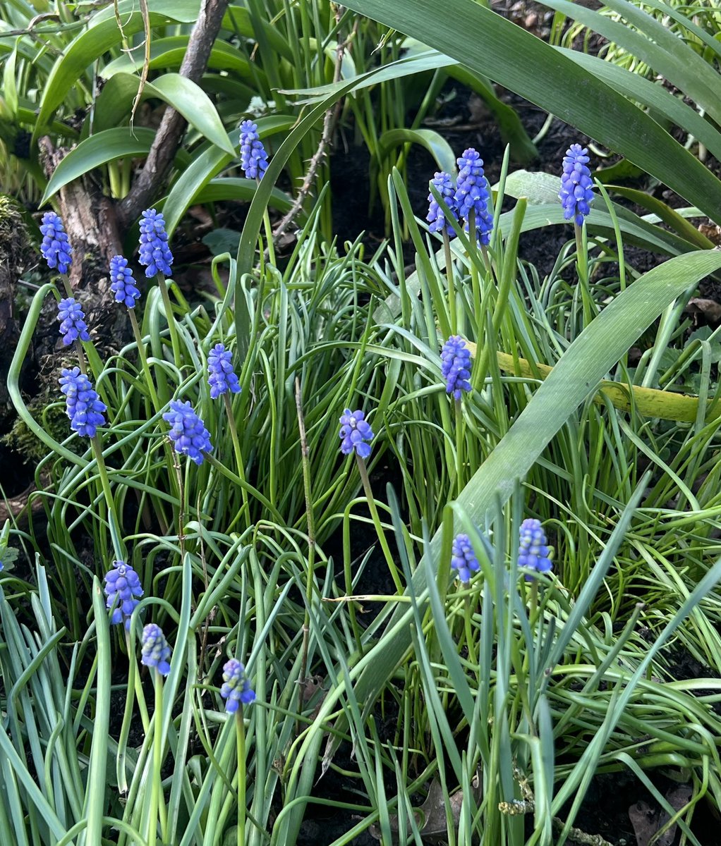 LindaTG1810 tweet media