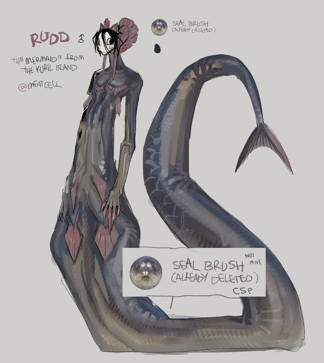 🥩🥩🥩 tweet media