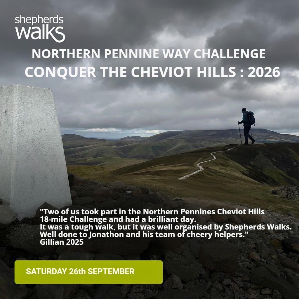 Jon, Shepherds Walks tweet media