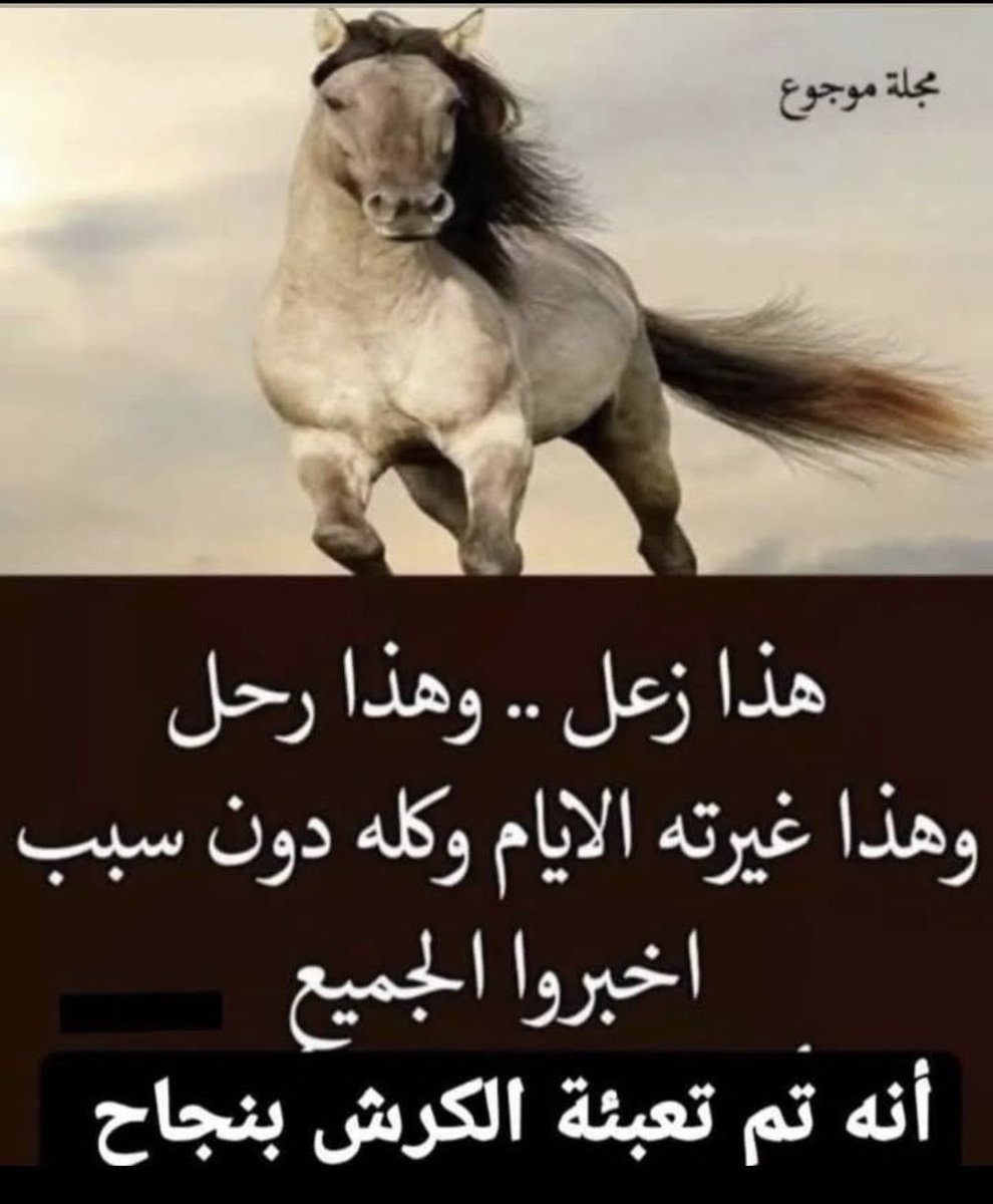 boneless tweet media