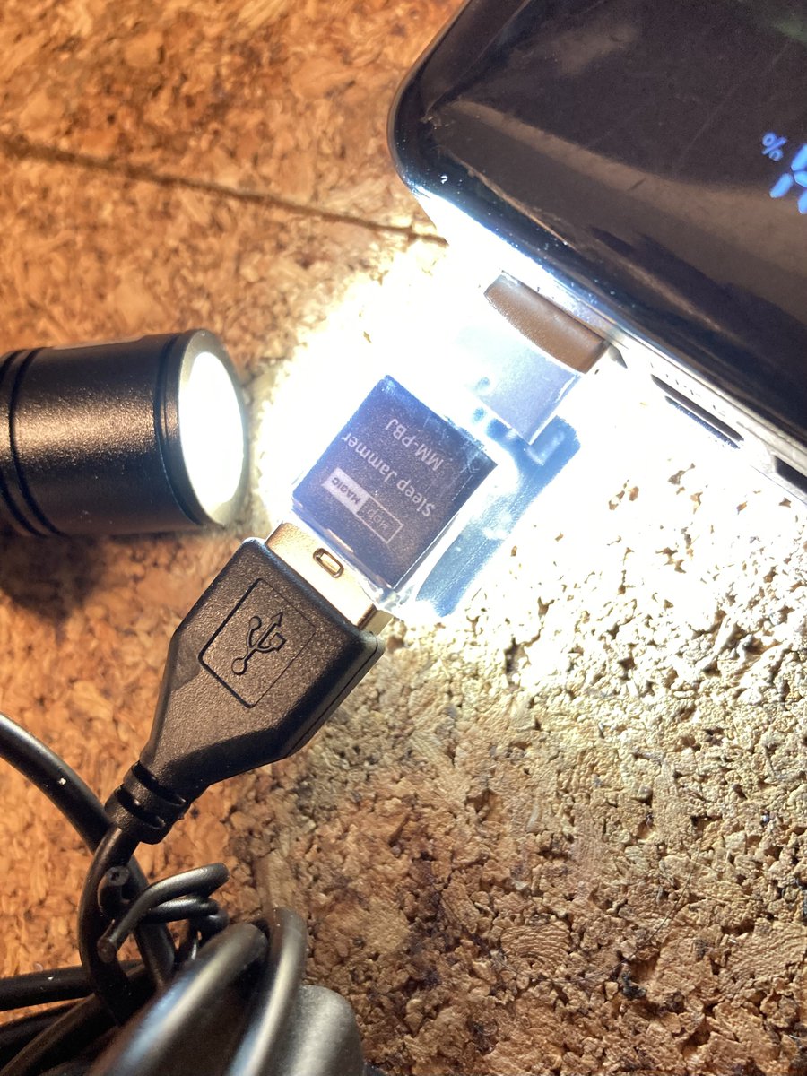 probe1138@3/8 やしてん-ありがとう♪ tweet media