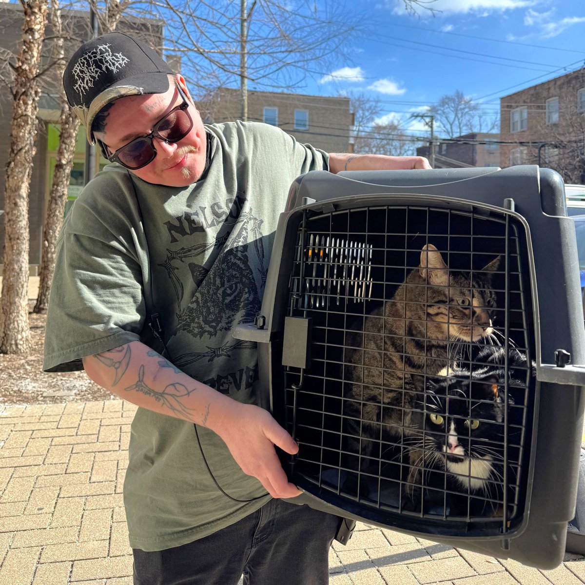 Tree House Humane Society tweet media