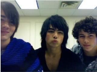 Stephanie tweet media