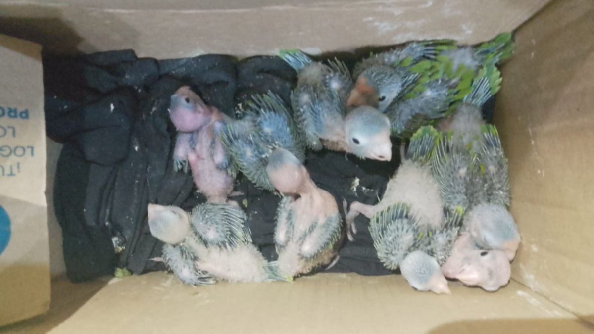 Emisoras Unidas tweet media