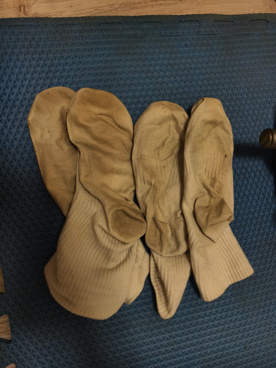 老虎山海🐯🐯 tweet media