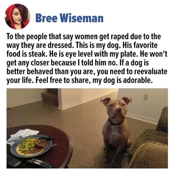 Thought Provoking Berserker ⚛️🦍🦅 (@provokethoughtz) on Twitter photo 