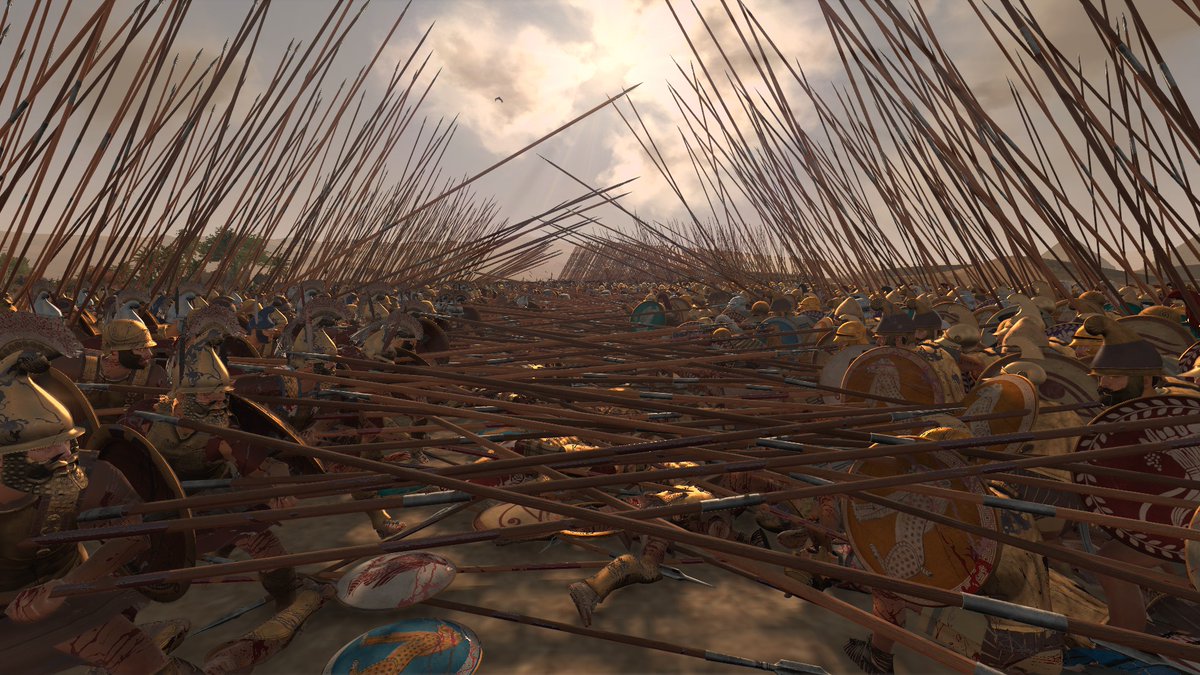 Callyxtus tweet media