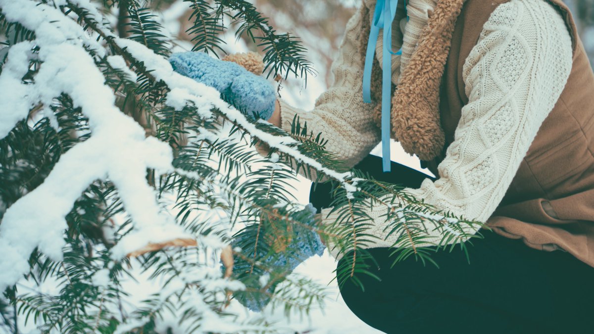 Cos/에이스테 

1223

Photo:<a href="/poyo_pyyy/">ぽより</a>