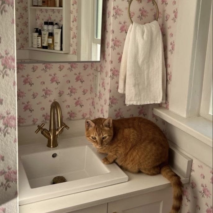 heriecomoros's tweet image. like #katie ur dating the wrong biggs #claire is right here