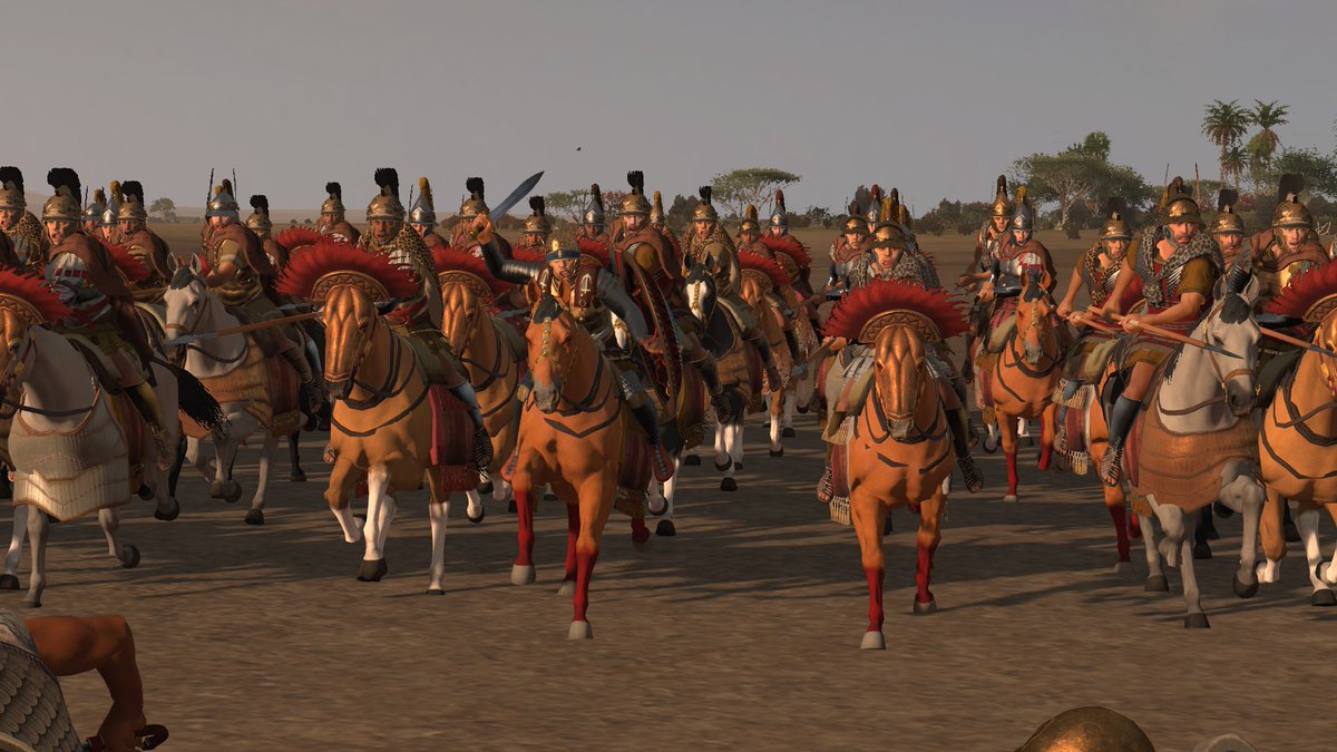 Callyxtus tweet media